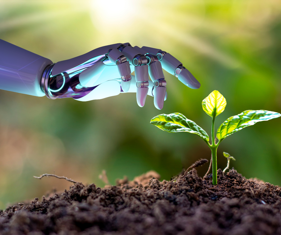 Zwischen Nachhaltigkeit und Künstlicher Intelligenz​